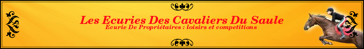 Les Ecuries Des Cavaliers Du Saule